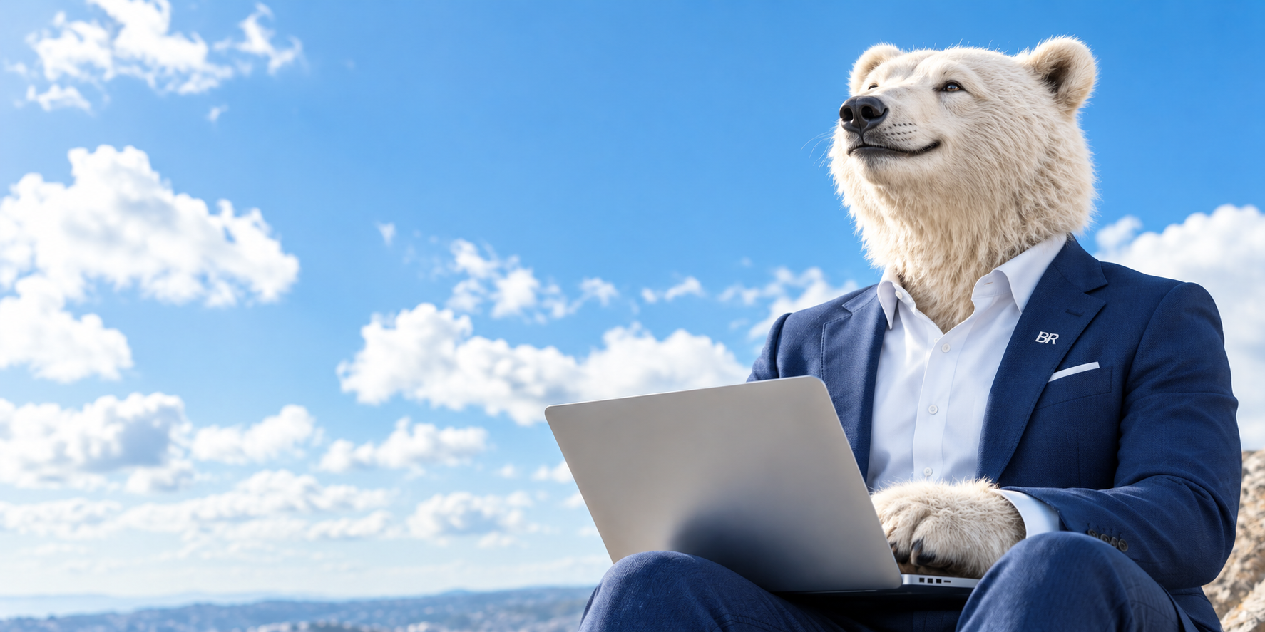 The BR Brand Bear working on a laptop beneath a bright blue sky